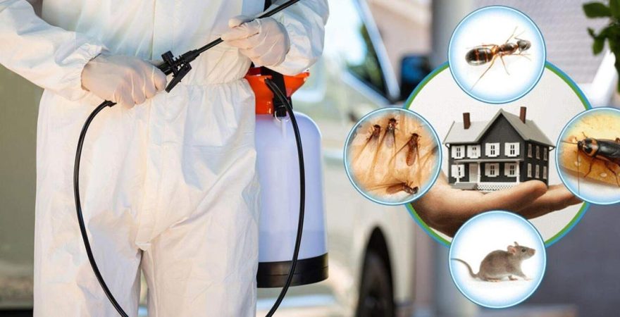 Aybastı Böcek İlaçlama