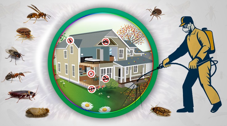 Aybastı Böcek İlaçlama