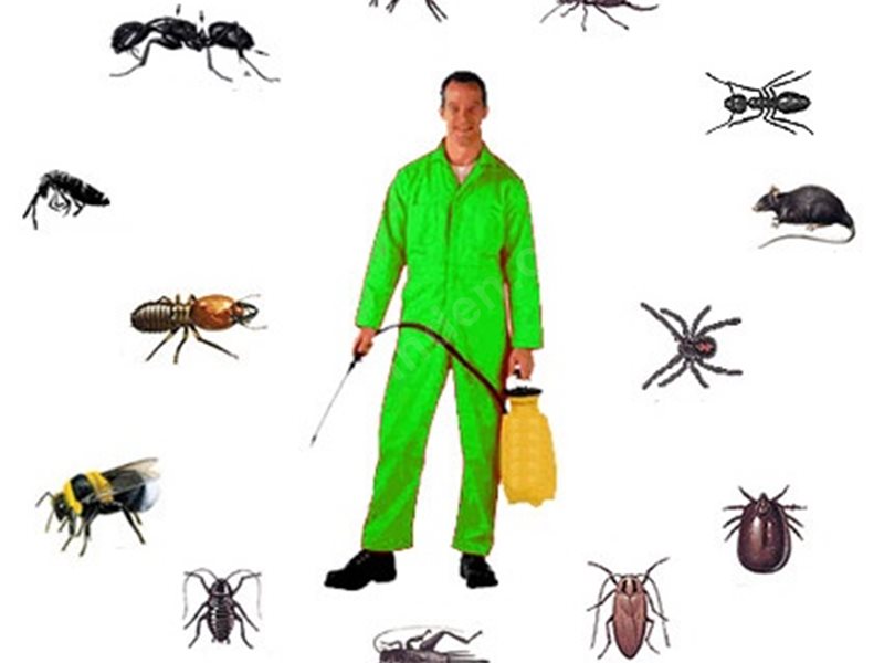 Aybastı Böcek İlaçlama